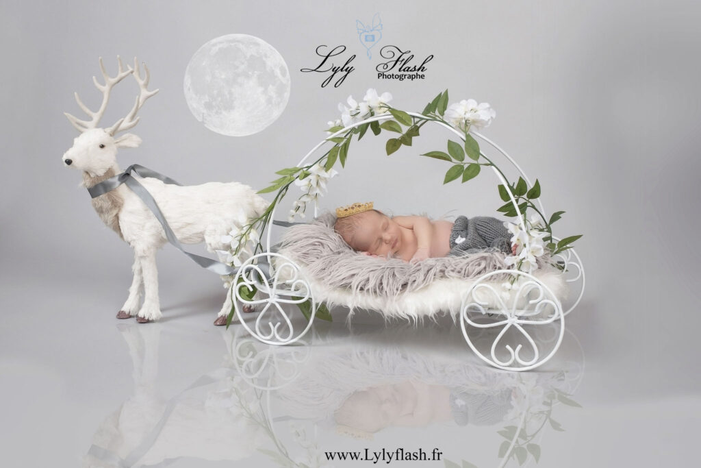 photo bébé dans un beau traineau avec son petit cerf de Grasse