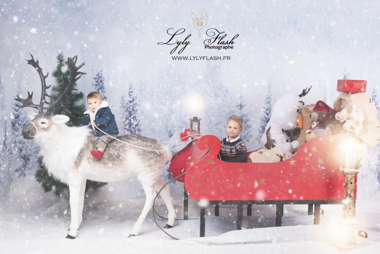 LE traineau a brignoles de noël