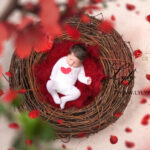 photo de naissance pour un bébé né a la saint valentin, une photo artistique et originale avec des pétales de rose et un beau cœur rouge