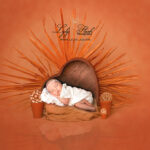 Une princesse fait un shooting naissance dans un décor tout en couleur terracotta, un résultat doux et chaleureux