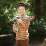 portrait d enfant au naturel, découvrir le monde fermier et les poules, c est l exercice que vous propose le studio photo Lyly flash près de Toulon, pour des instants pleins de magie et de fierté
