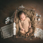 photo naissance bebe dans panier avec fleurs de coton