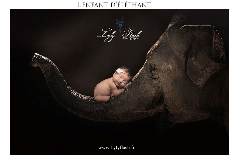 7 un bébé a la naissance dort sur une trompe d'éléphant