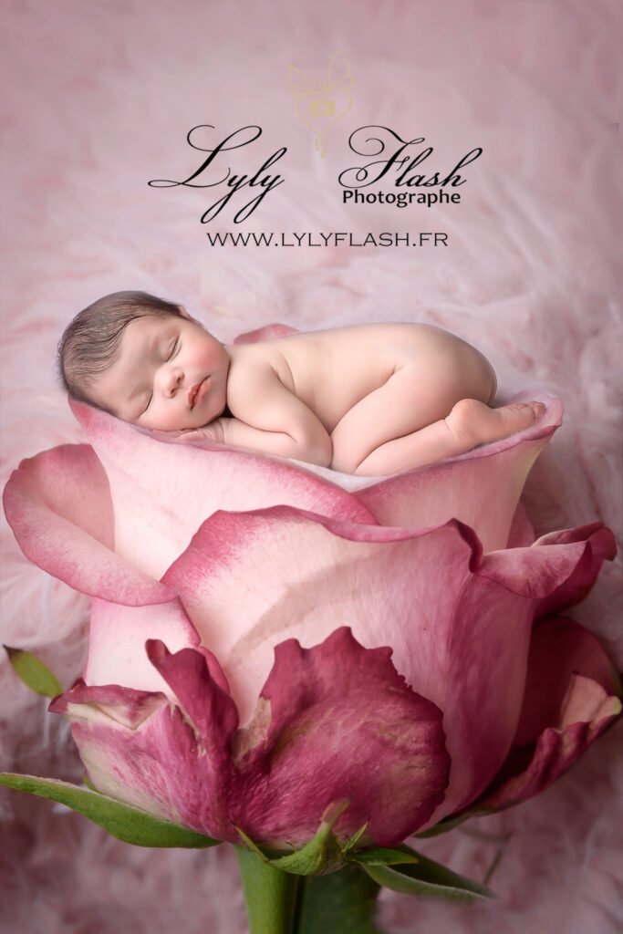 4 une petite fille dort dans une rose rose a la naissance