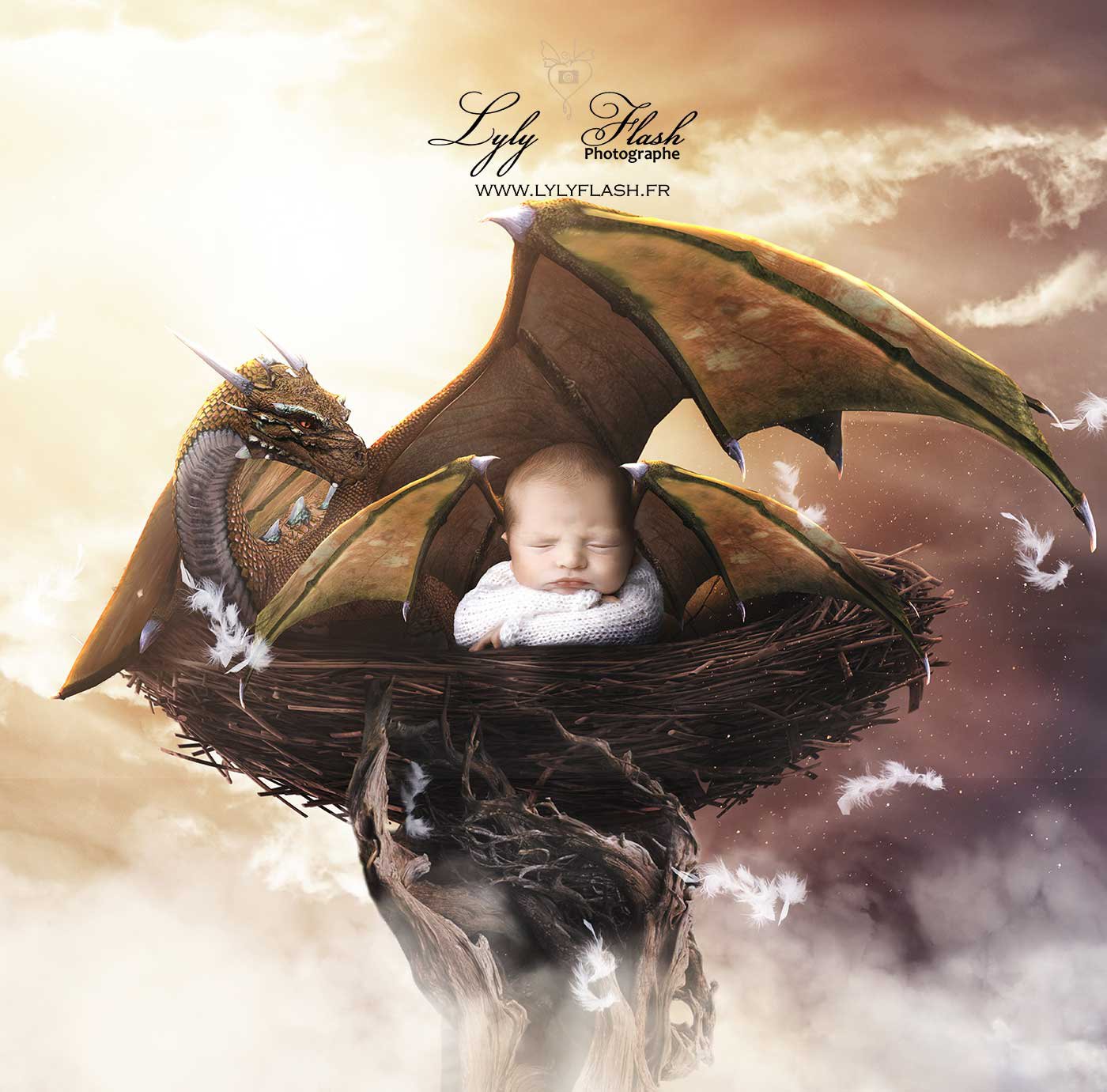 Photo nouveau-né créative dans un univers fantastique avec dragon