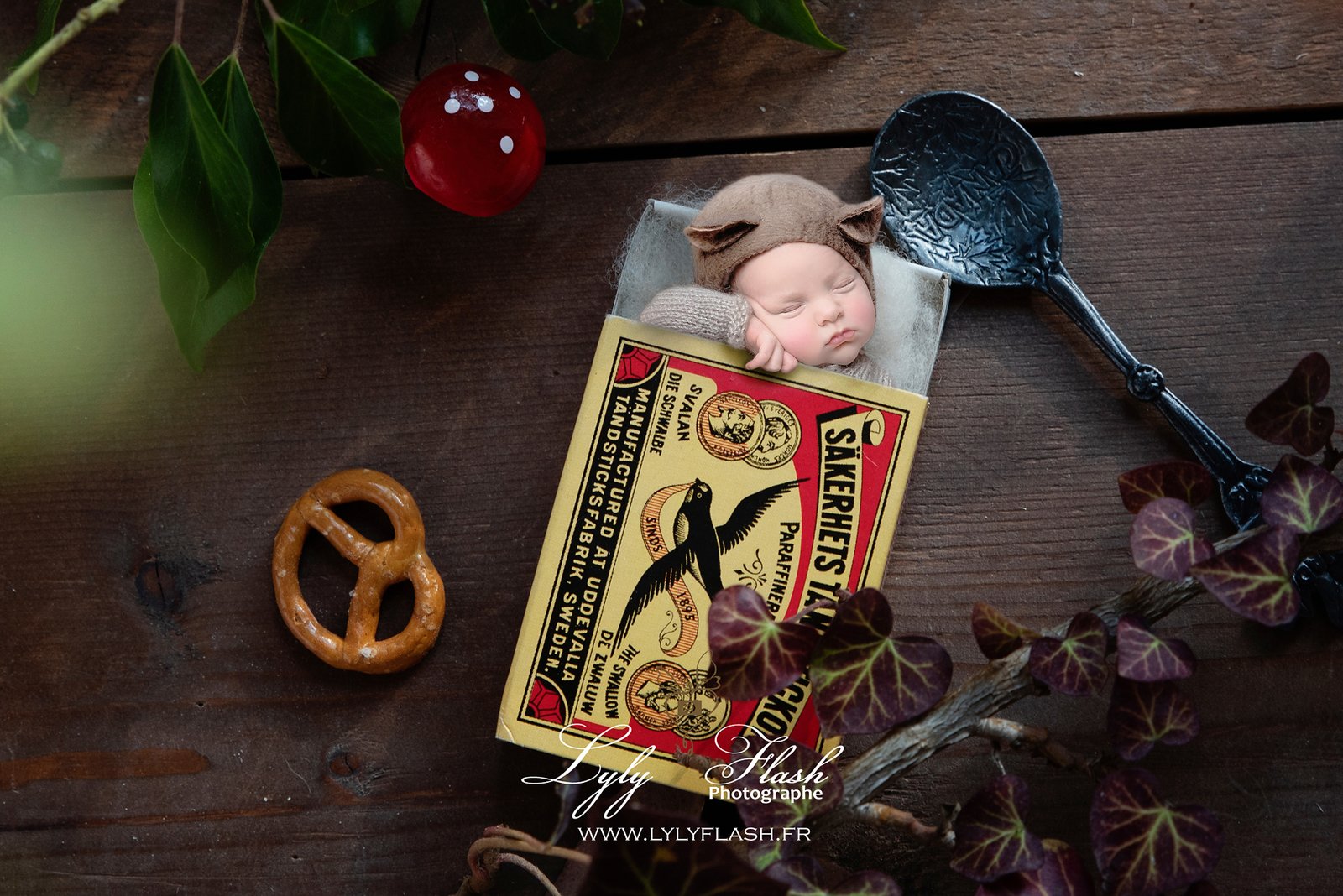 Photo bébé naissance artistique souris dans un conte miniature création originale nouveau-né