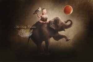 éléphant circus