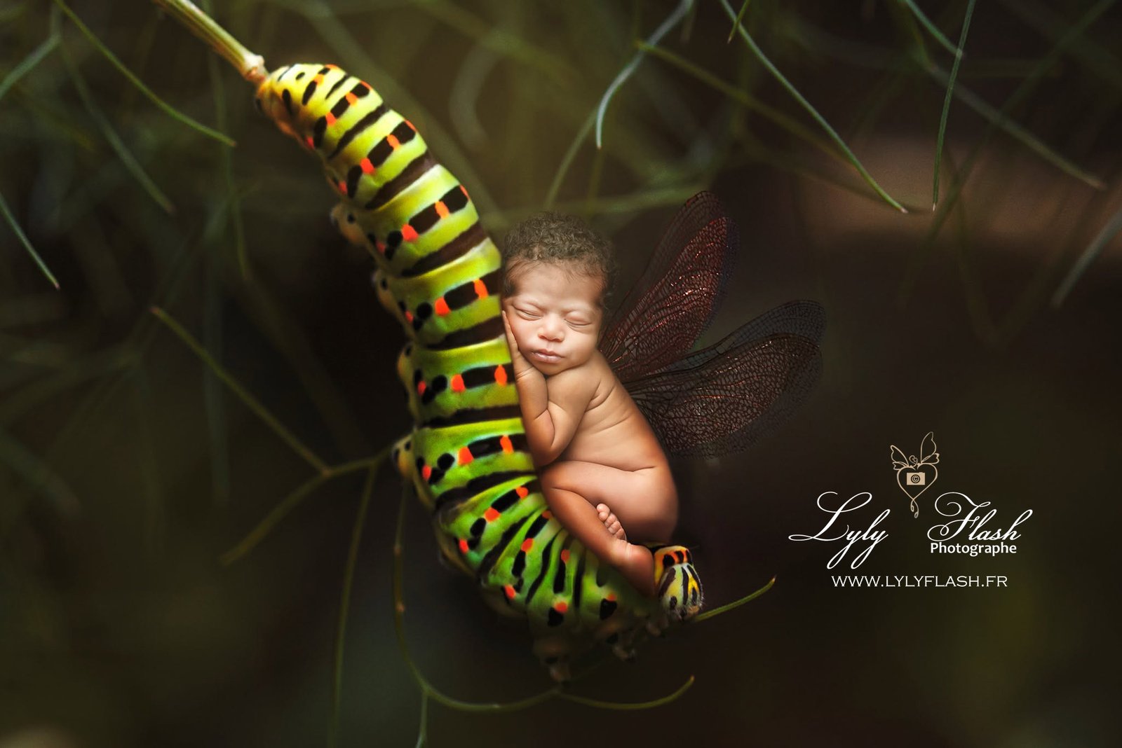 Photo nouveau-né originale avec bébé et insecte dans une composition créative