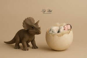 Fond numérique – Tricératops en studio pour photo naissance