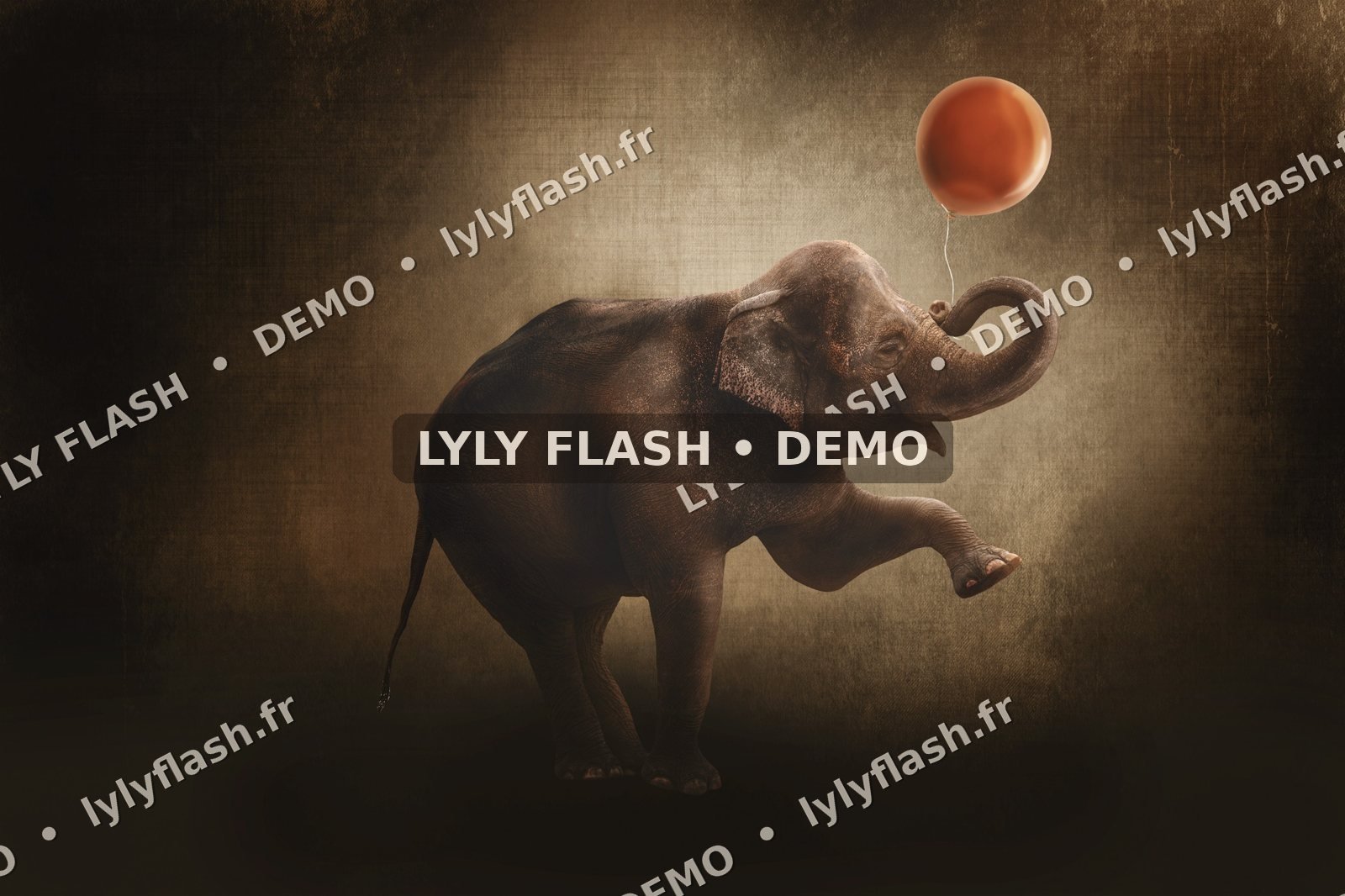 Fond numérique Éléphant Circus