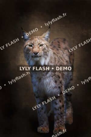 Fond numérique Lynx Fine Art