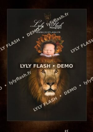 DEMO-LYLYFLASH-photo-naissance-lion-bebe-princesse-photographe-studio-incroyable-art-toulon-marseille-draguignan-fr-jus-brignoles