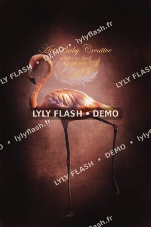 DEMO-LYLYFLASH-pinky-flamant-rose-demo