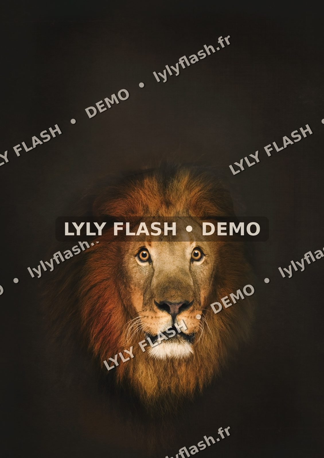Fond numérique Tête de lion Fine Art
