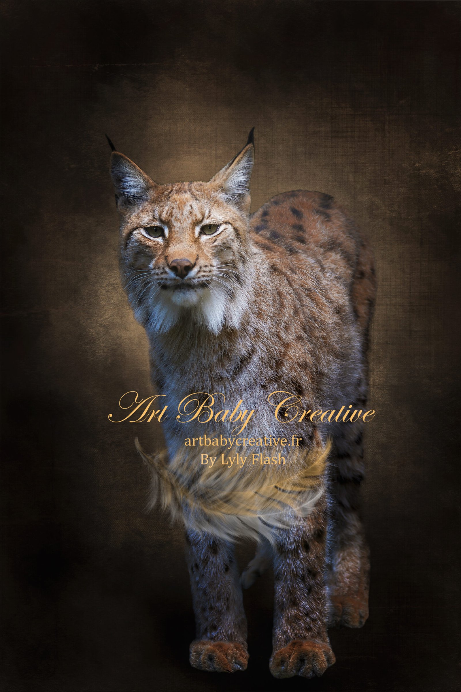 digital background photographe lynx pour montage bébé
